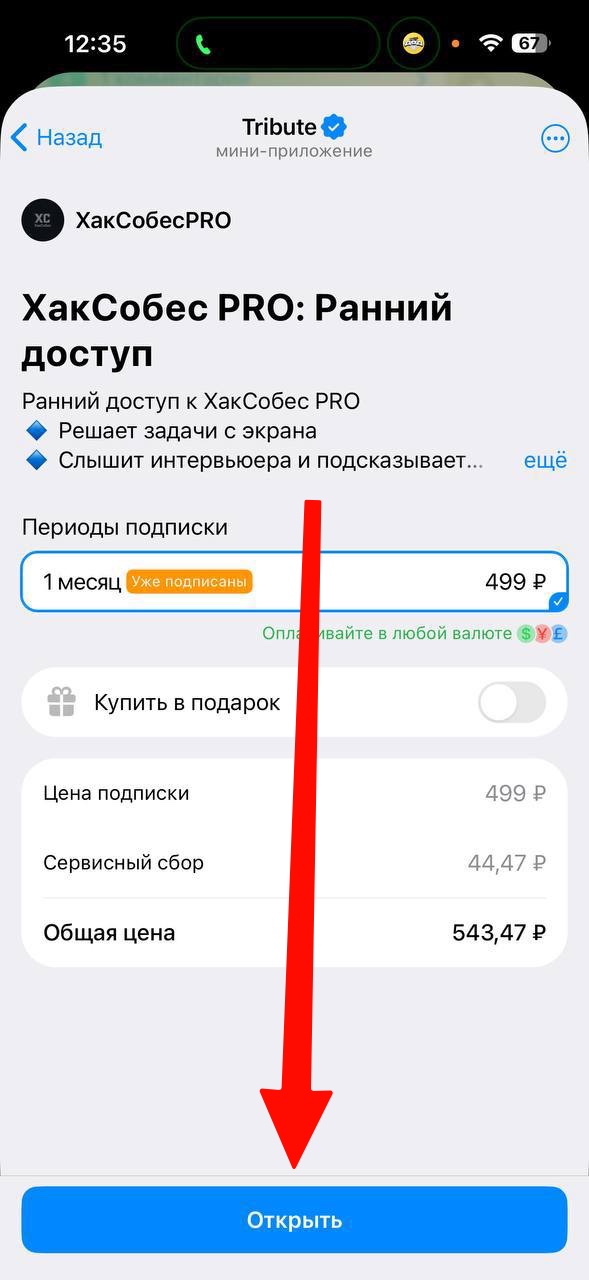 Подписка ХакСобес PRO в Tribute: стрелка указывает на кнопку «Открыть»